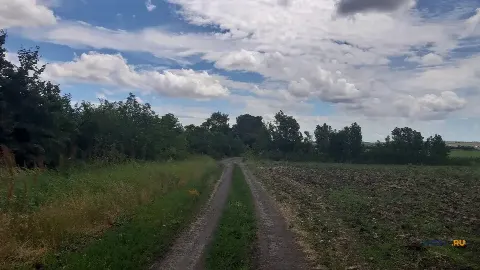 Участок 250 сот. (СНТ, ДНП)