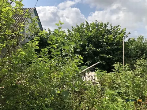 Участок 10 сот. (ИЖС)