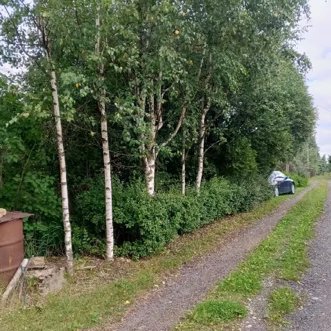 Дом 104,2 м² на участке 11,3 сот.