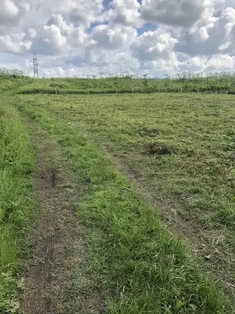 Участок 8 сот. (ИЖС)