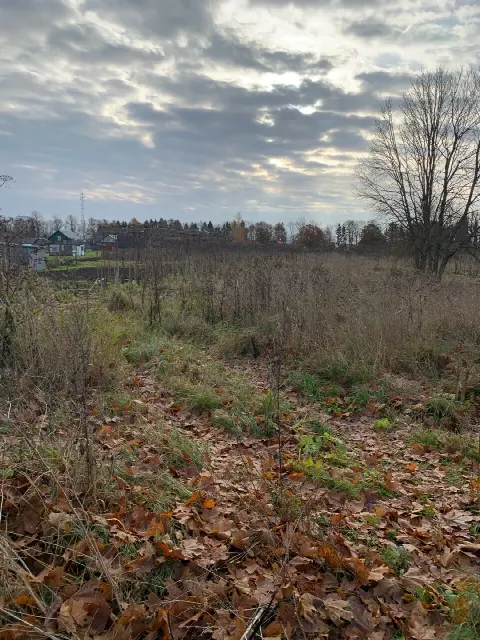 Участок 6 сот. (ИЖС)