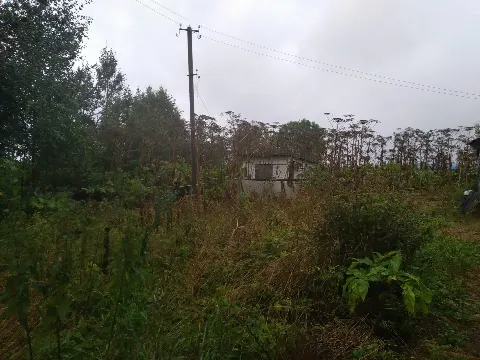 Дом 50,4 м² на участке 25 сот.