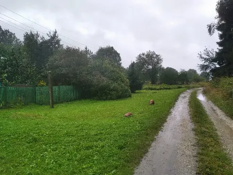 Дом 50,4 м² на участке 25 сот.