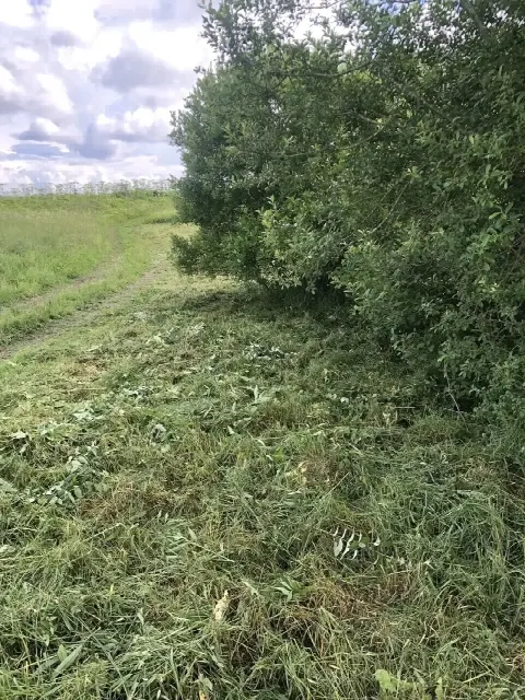 Участок 8 сот. (ИЖС)