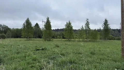 Участок 10 сот. (ИЖС)