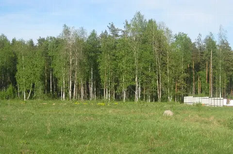 Участок 11,3 сот. (ИЖС)