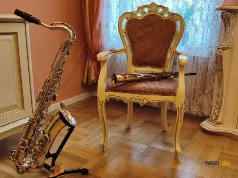 Выступление 2 Sax Factory с новогодней программой
