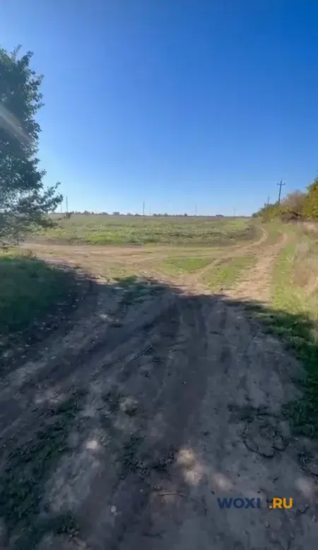 Участок 160 сот. (с/х)