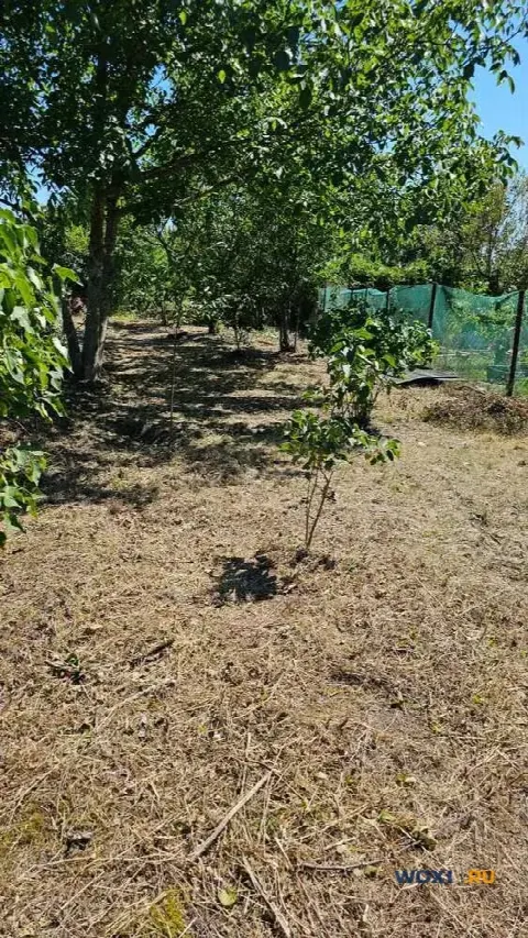 Участок 7 сот. (СНТ, ДНП)