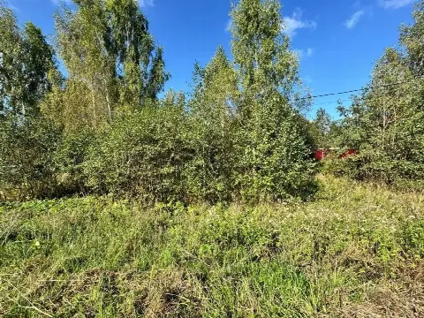 Участок земли для спокойной жизни